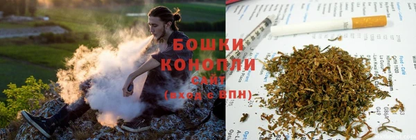 сатива Армянск