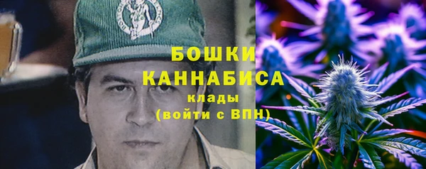 сатива Армянск